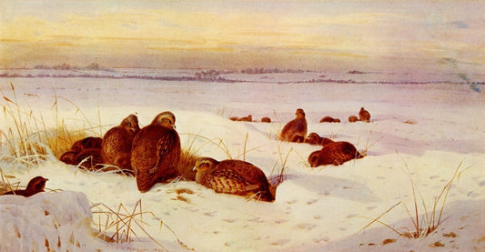 Dimensions 6601 x 3430 pixels