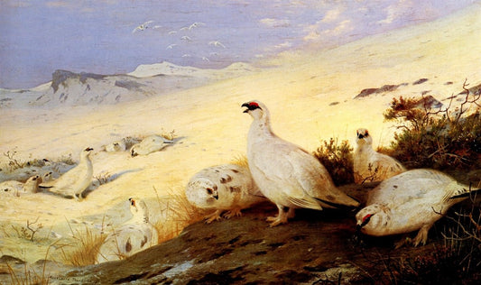 Dimensions 6600 x 3910 pixels