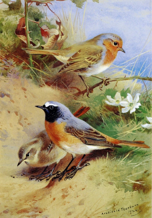 Dimensions 3528 x 5054 pixels