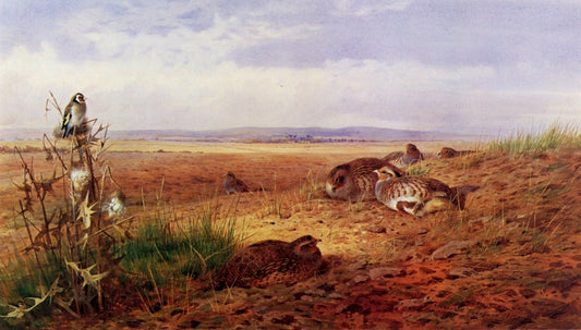 Dimensions 6616 x 3768 pixels