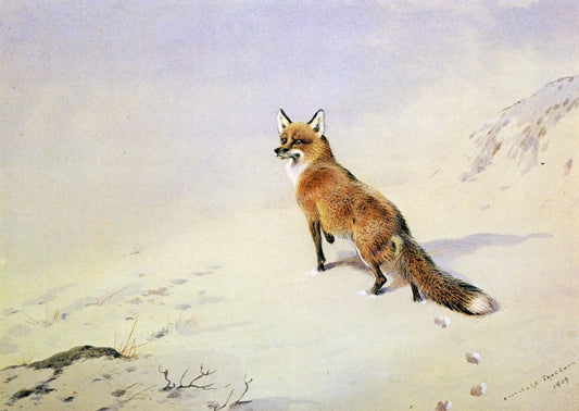 Dimensions 6480 x 4600 pixels