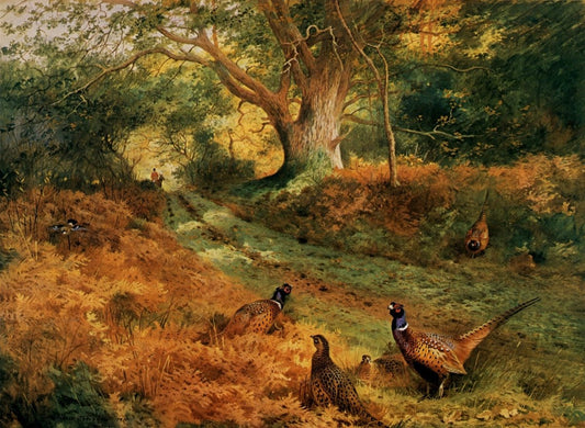 Dimensions 6288 x 4592 pixels