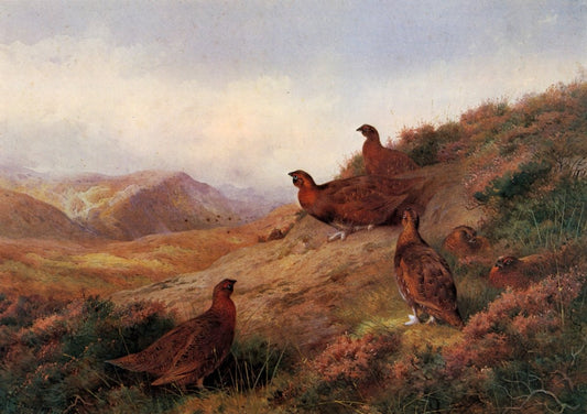 Dimensions 6520 x 4600 pixels