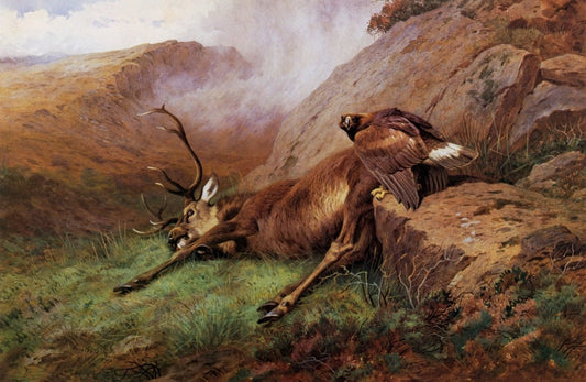 Dimensions 6570 x 4280 pixels