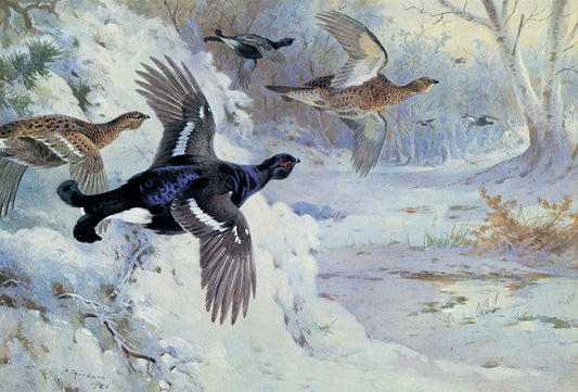 Dimensions 6680 x 4520 pixels