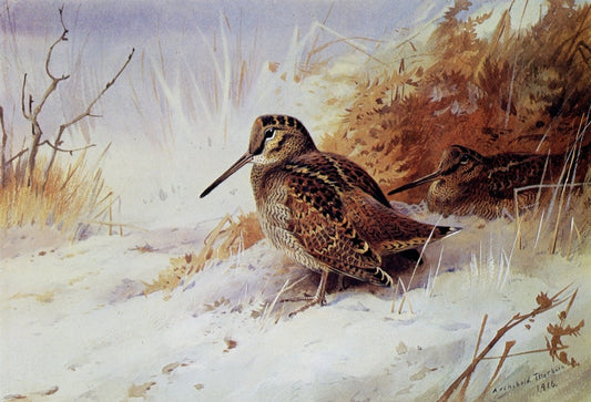 Dimensions 6688 x 4560 pixels