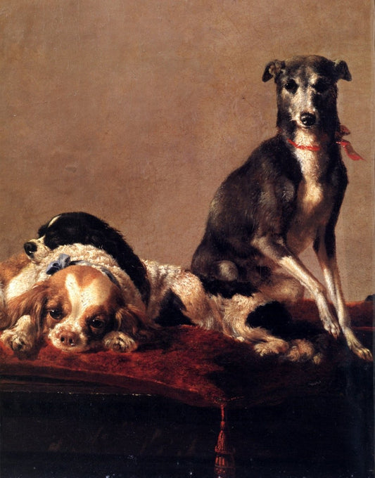 Dimensions 5336 x 6808 pixels