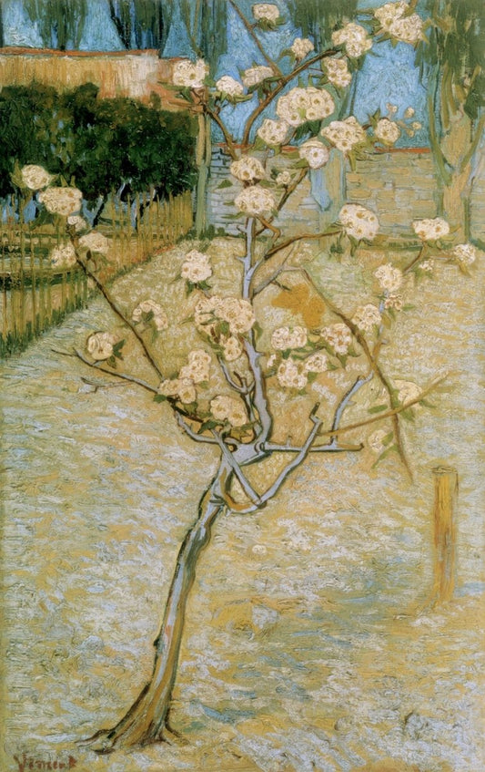 Dimensions 4370 x 6950 pixels