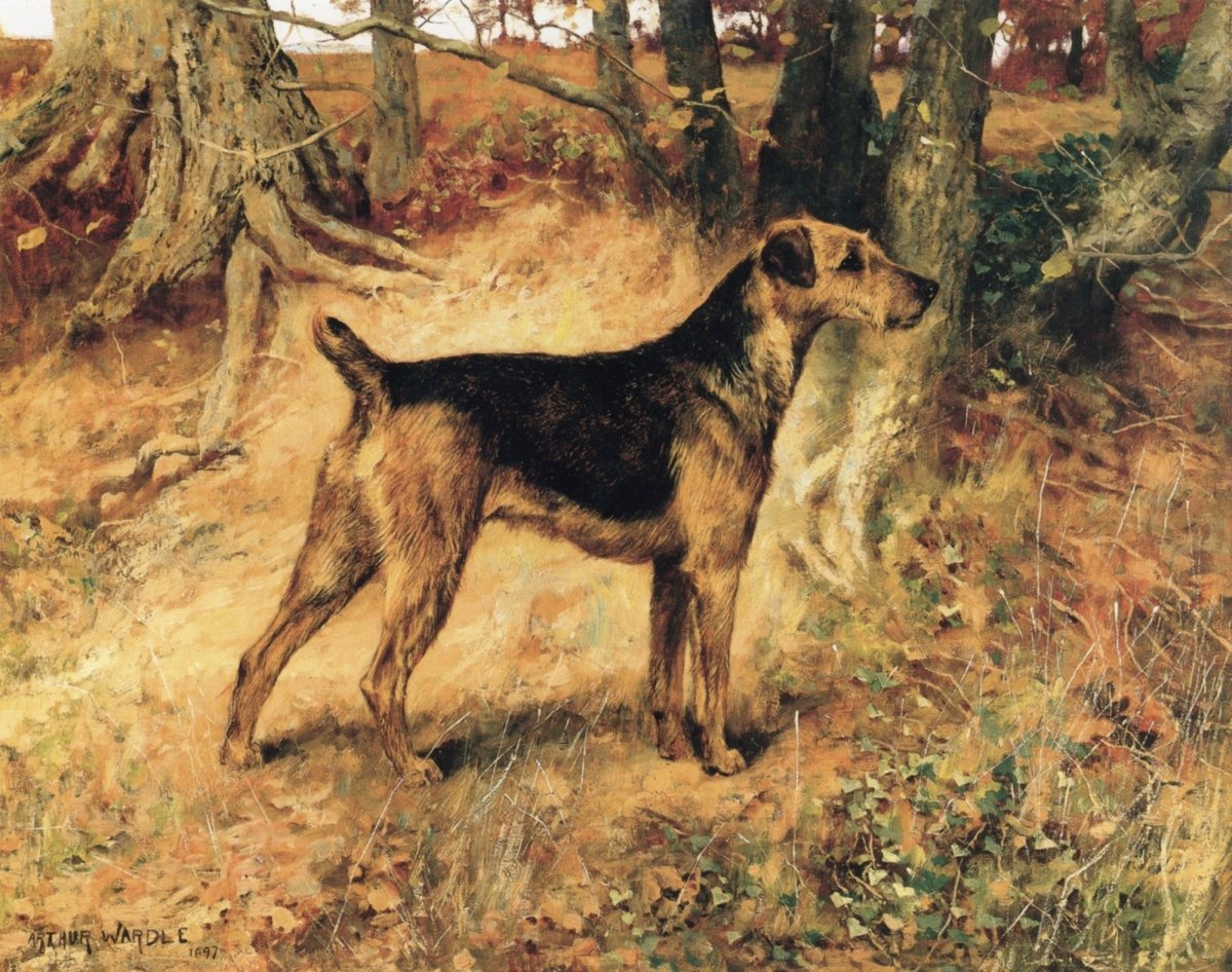 Arthur Wardle - Dumbarton Lass 1897 | Dimensions 4455 x 3510 pixels