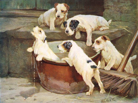 Arthur Wardle - The Order of the Bath | Dimensions 4800 x 3580 pixels