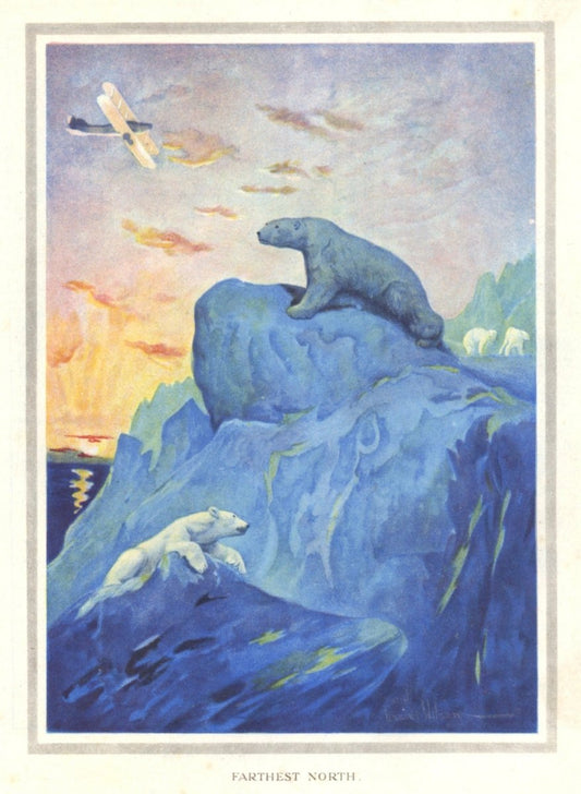 Dimensions 3544 x 4840 pixels