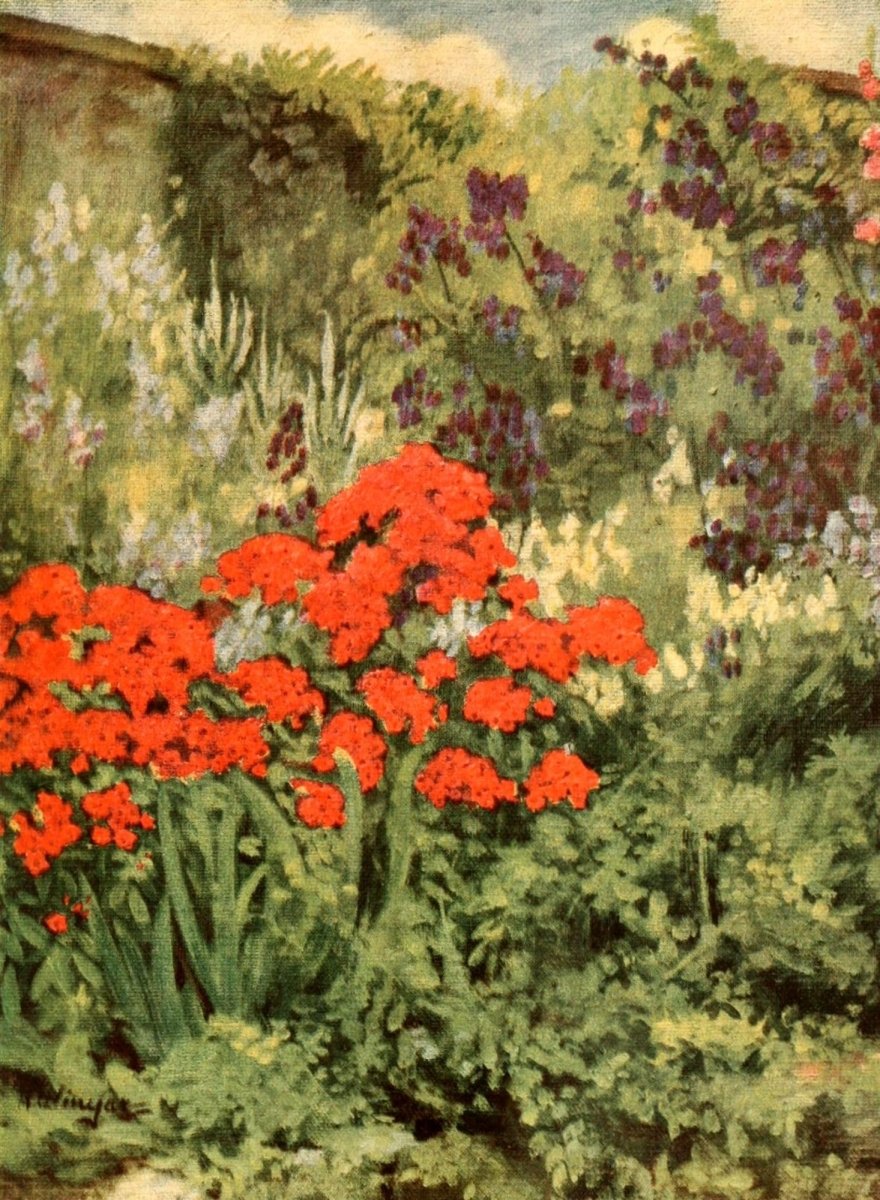 Colour in My Garden 1918 - Anna Winegar - 24 images | Dimensions 1635 x 2230 pixels