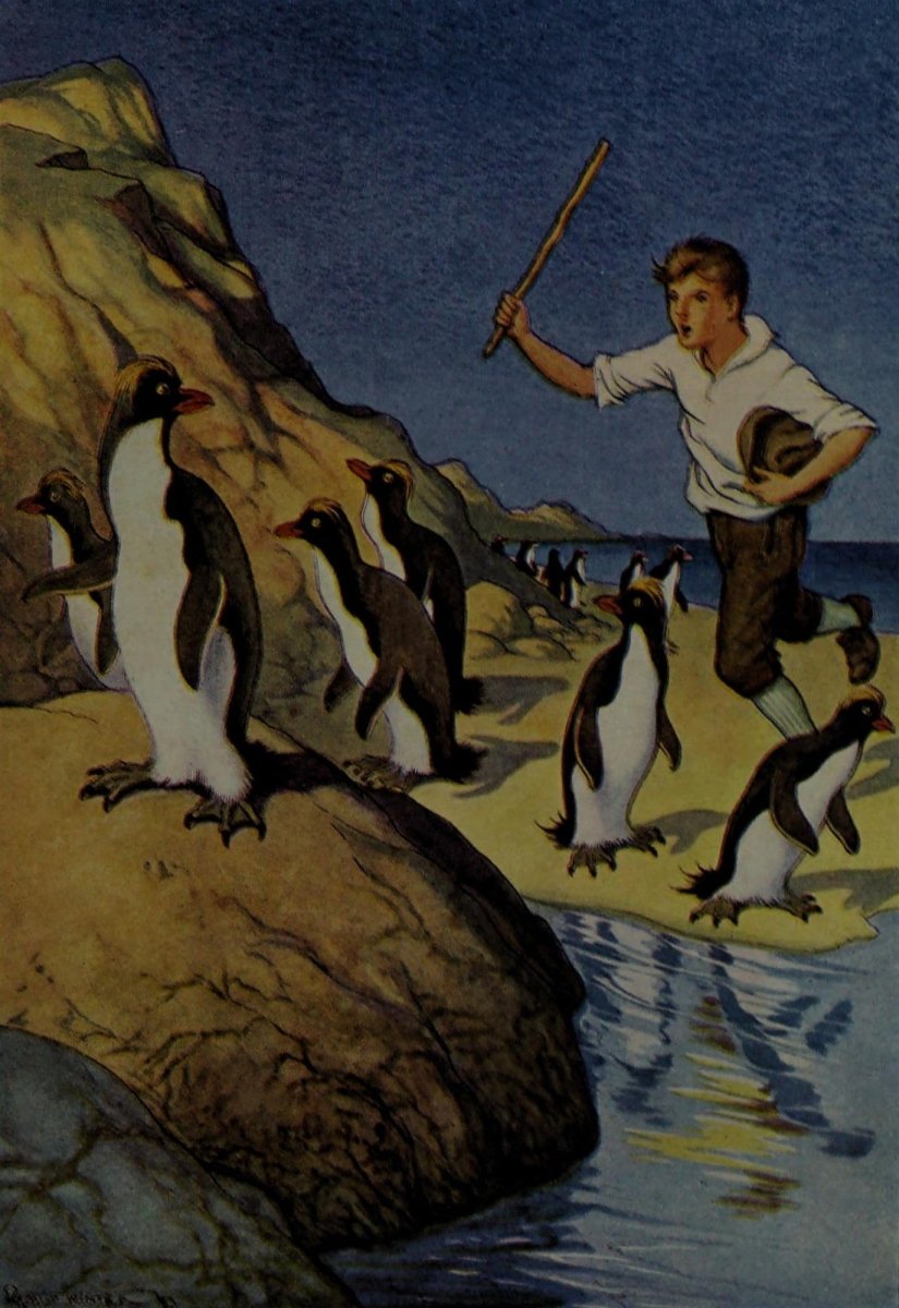 The Swiss family Robinson, 1916 - Milo Winter - 14 images | Dimensions 1496 x 2176 pixels