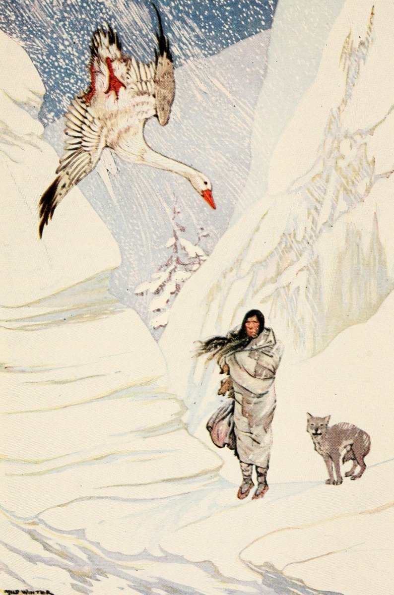 The Trail Book 1918 - Milo Winter - 4 images | Dimensions 1865 x 2820 pixels