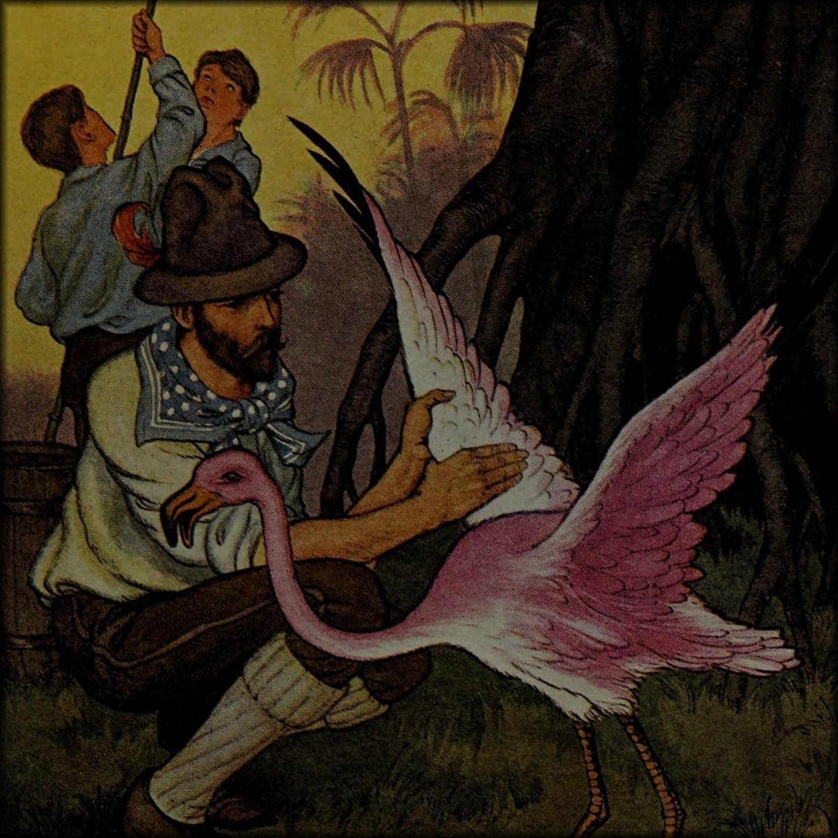 Milo Winter Public Domain Illustrations to Download | The Swiss Family Robinson (1916) - 14 images