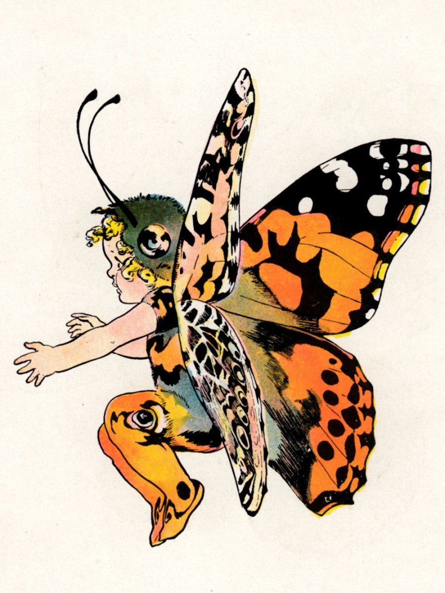·Pictures of Butterflies in the Public Domain - Public Domain Image Library