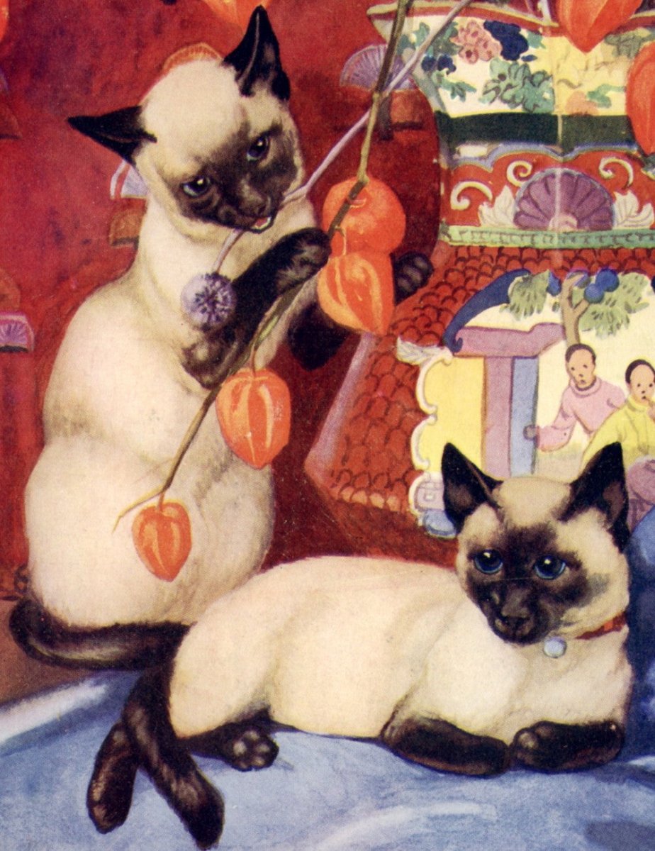 ·Cat Pictures in the Public Domain - Public Domain Image Library