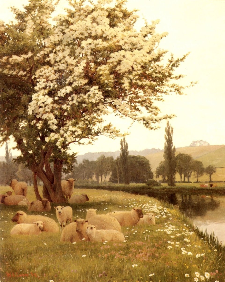 William Sidney Cooper