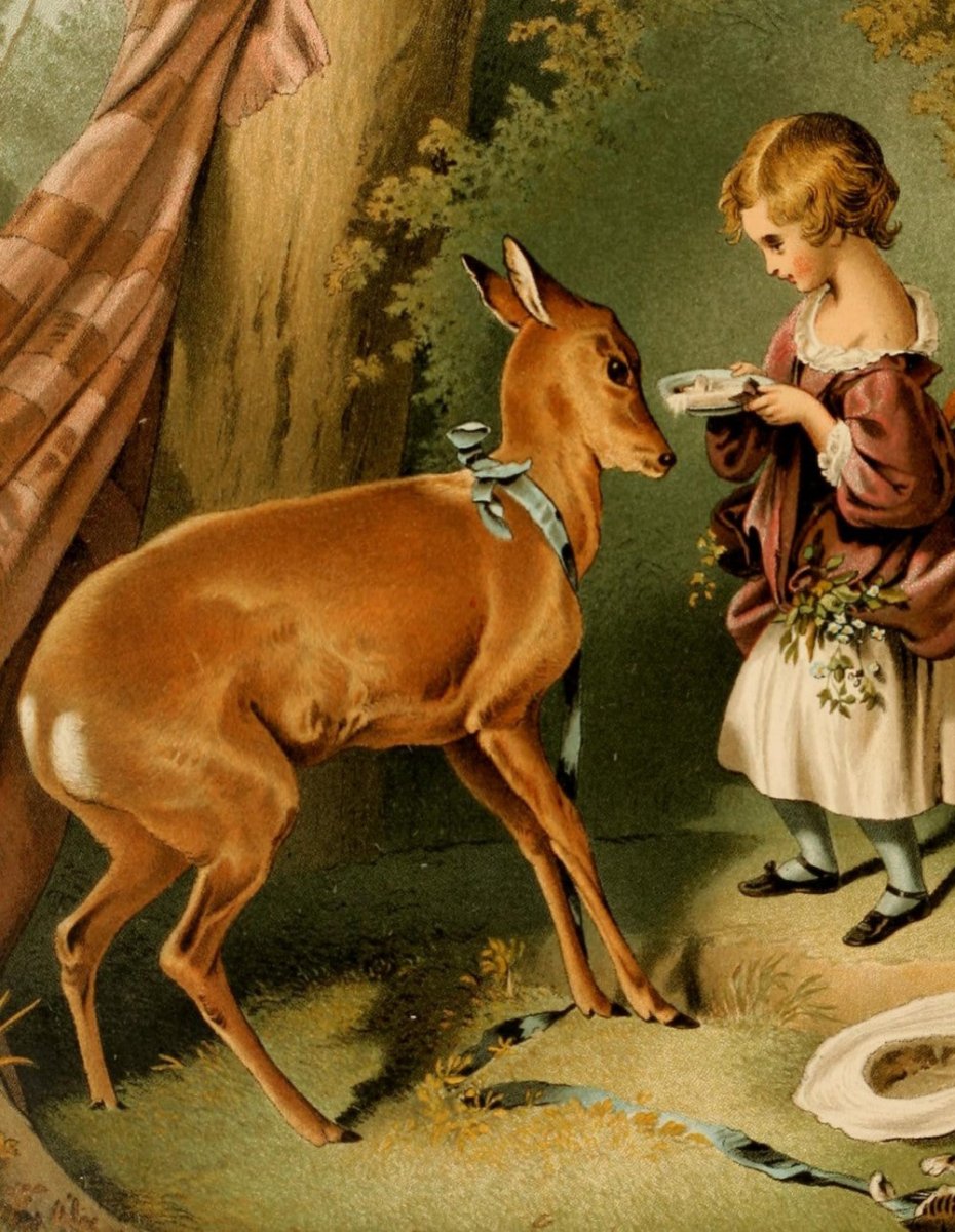 ·Deer Pictures in the Public Domain - Public Domain Image Library
