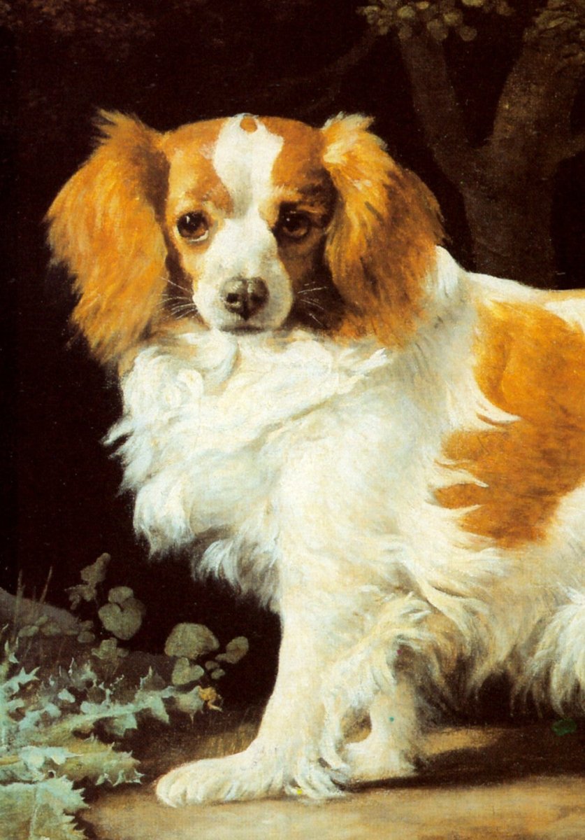 ·Dog Pictures in the Public Domain - Public Domain Image Library