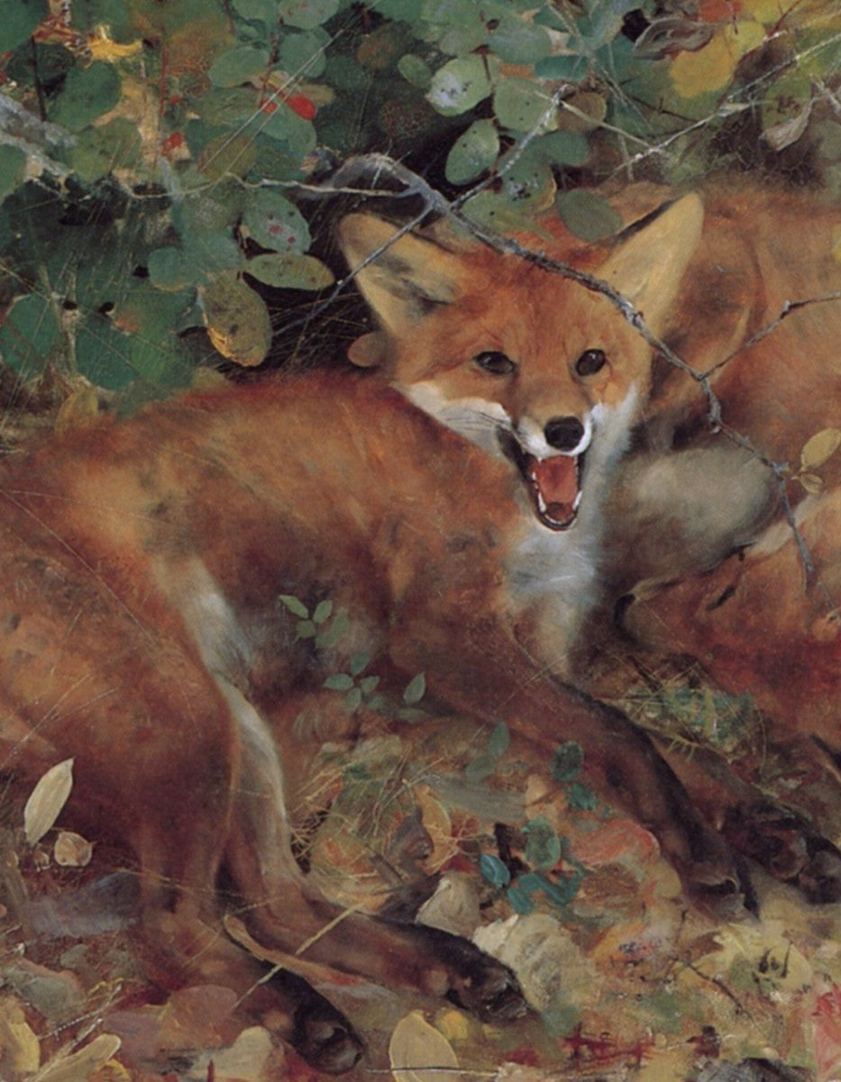 ·Fox Pictures in the Public Domain - Public Domain Image Library