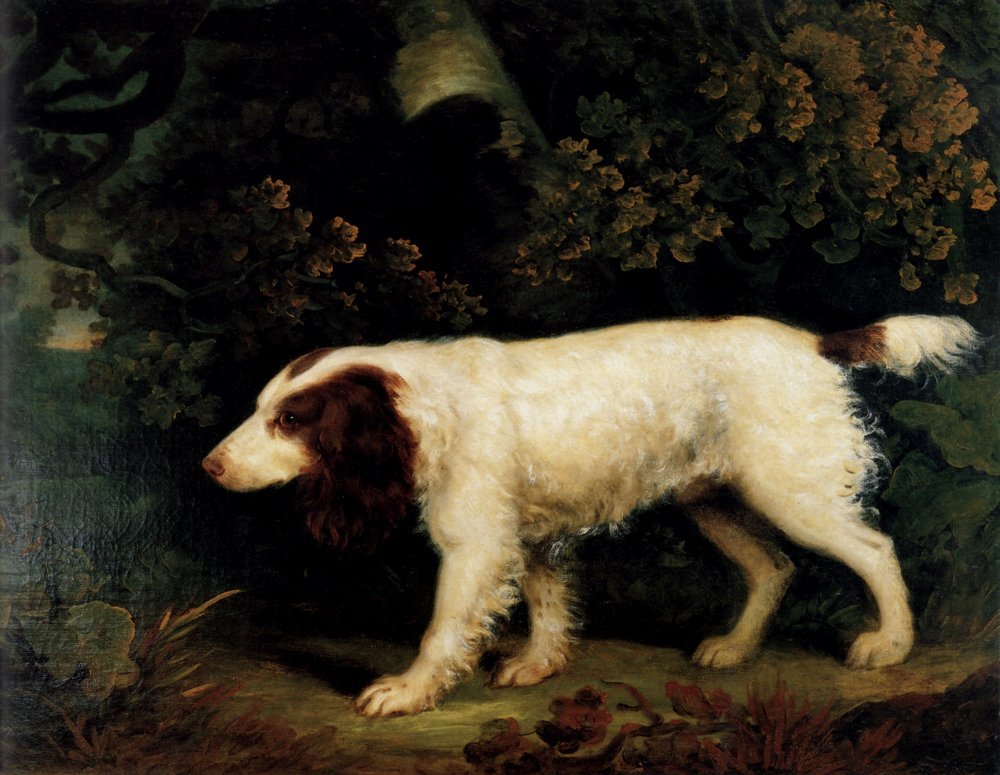 George Garrard