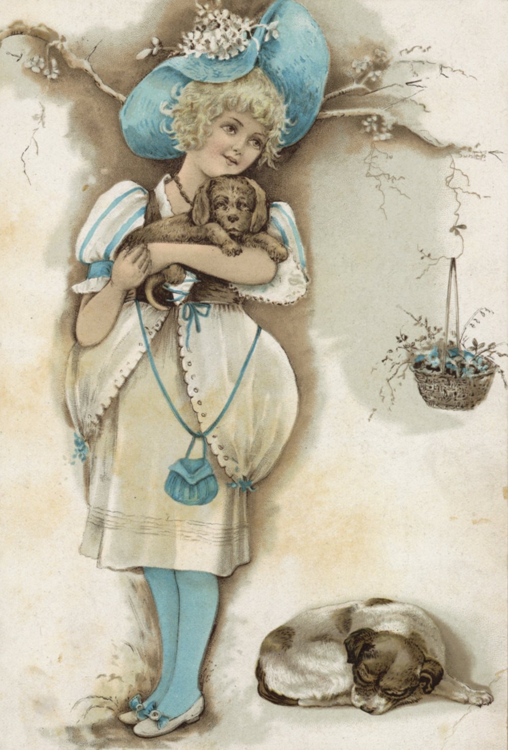 Jessie Hall