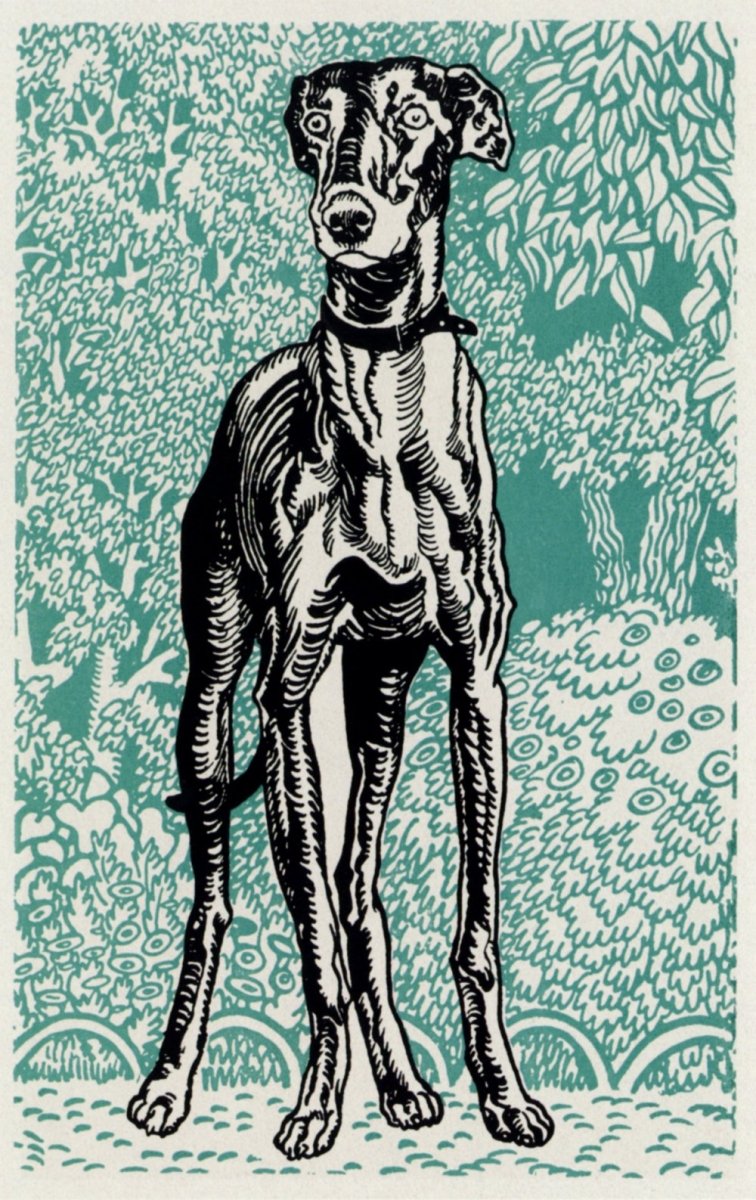 Moriz Jung