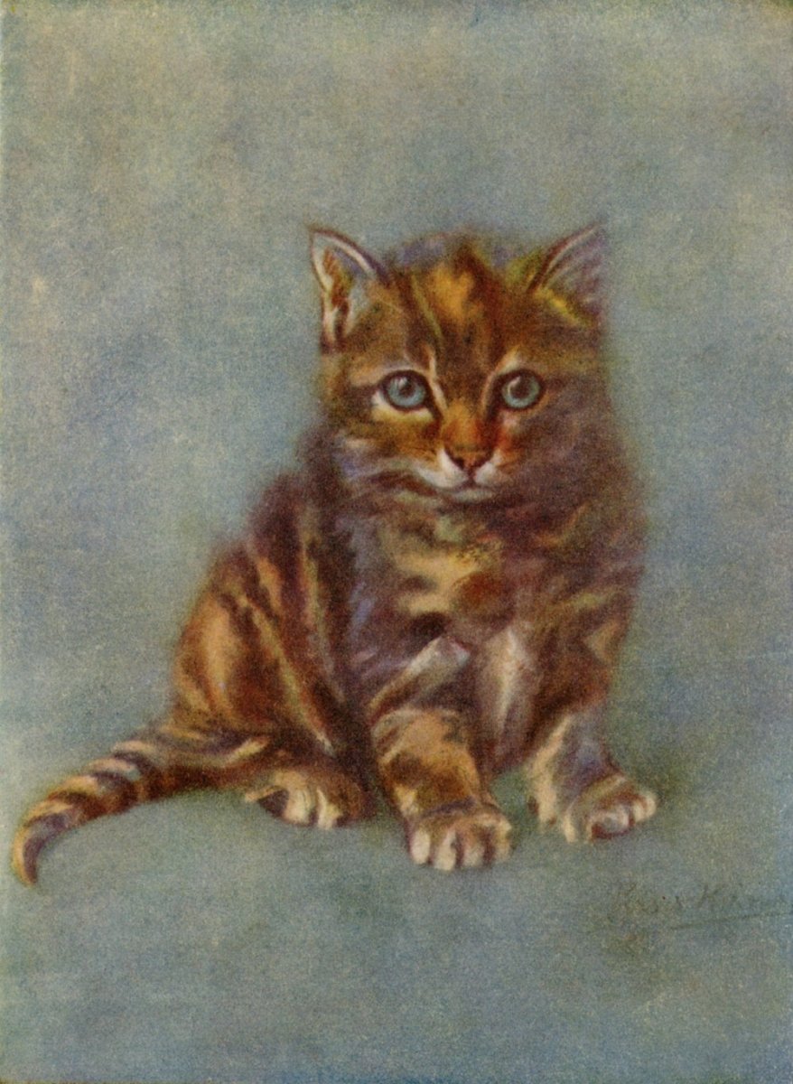 Elizabeth Persis Kirmse