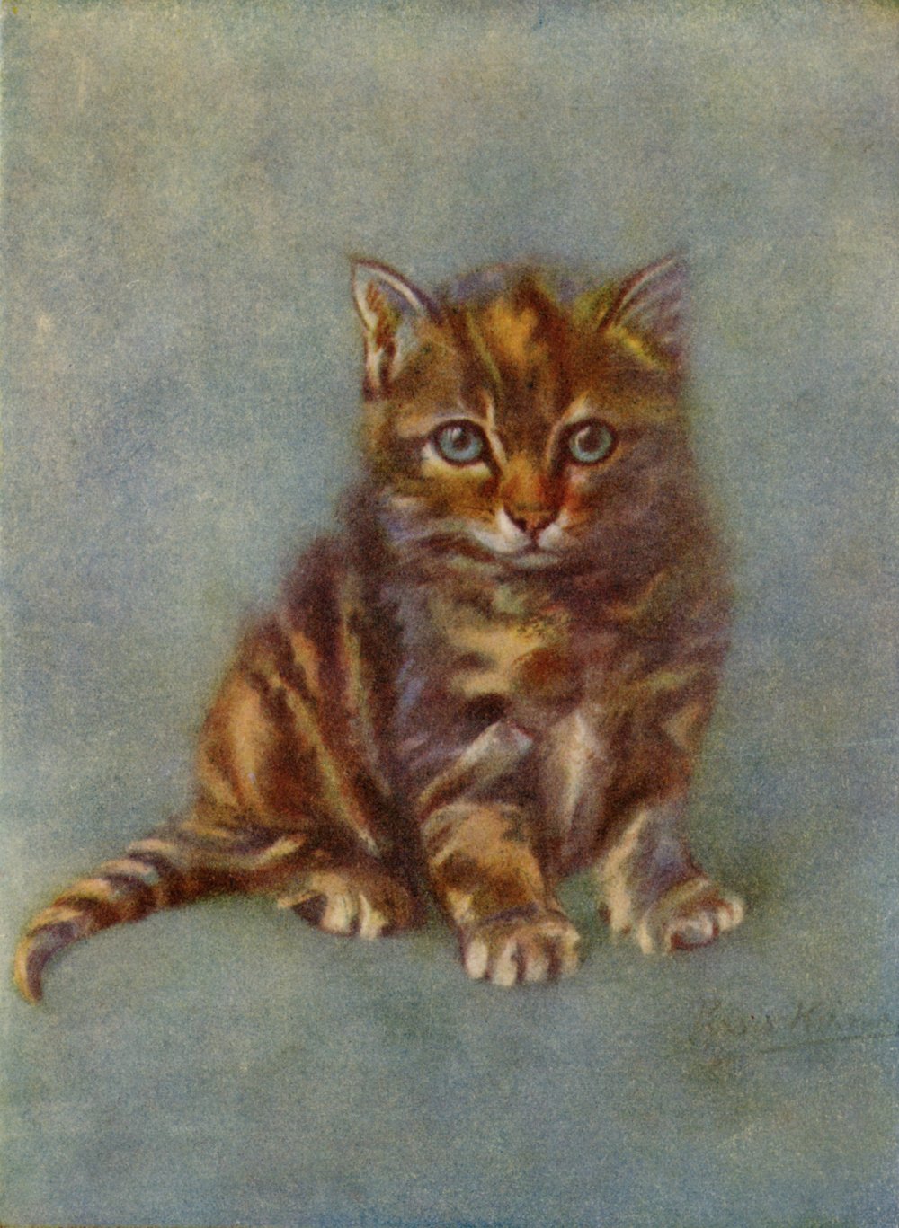 Elizabeth Persis Kirmse