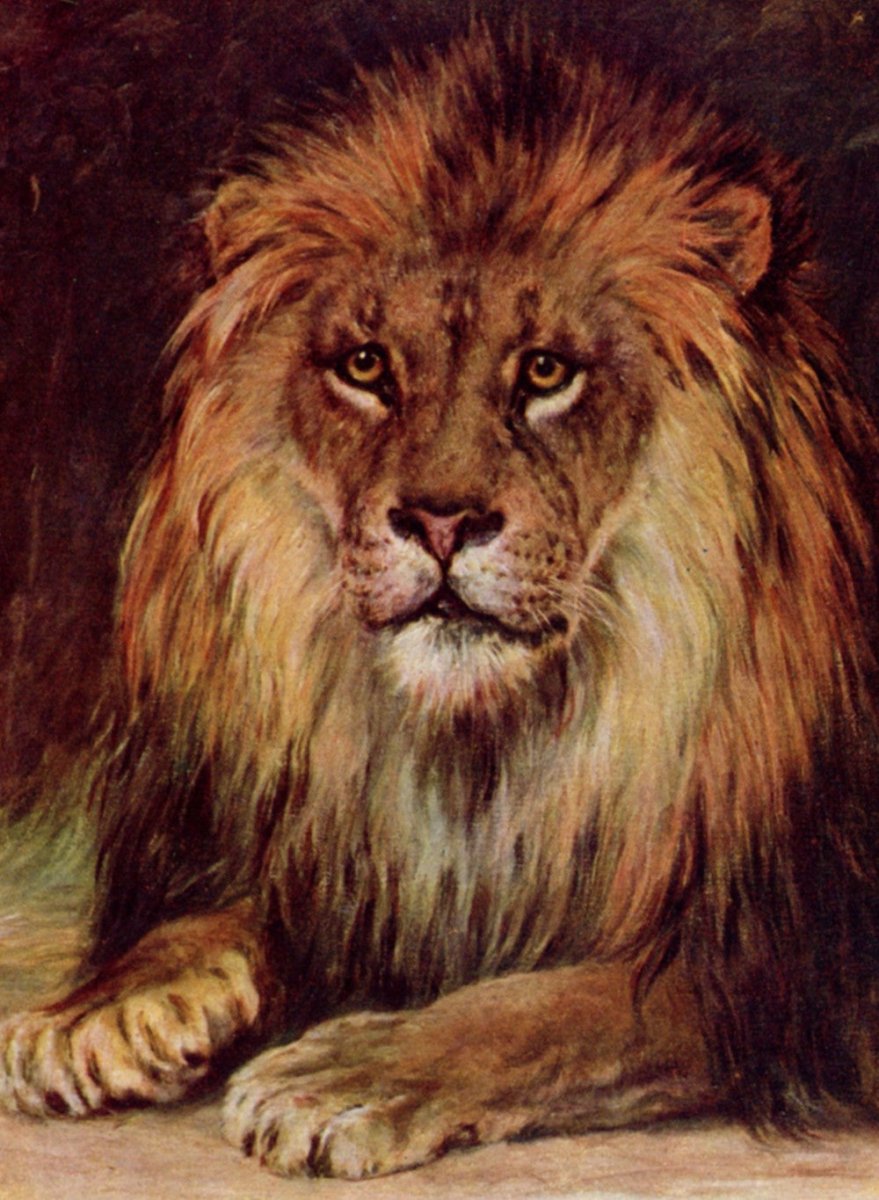 ·Pictures of Lions in the Public Domain - Public Domain Image Library