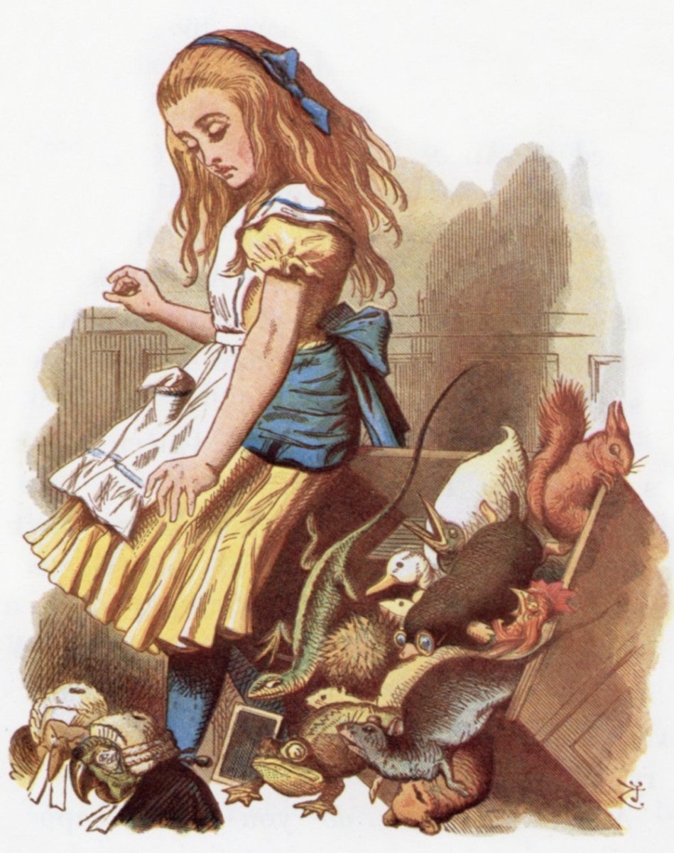 ·Most Popular Book Image Collections - Public Domain Image Library