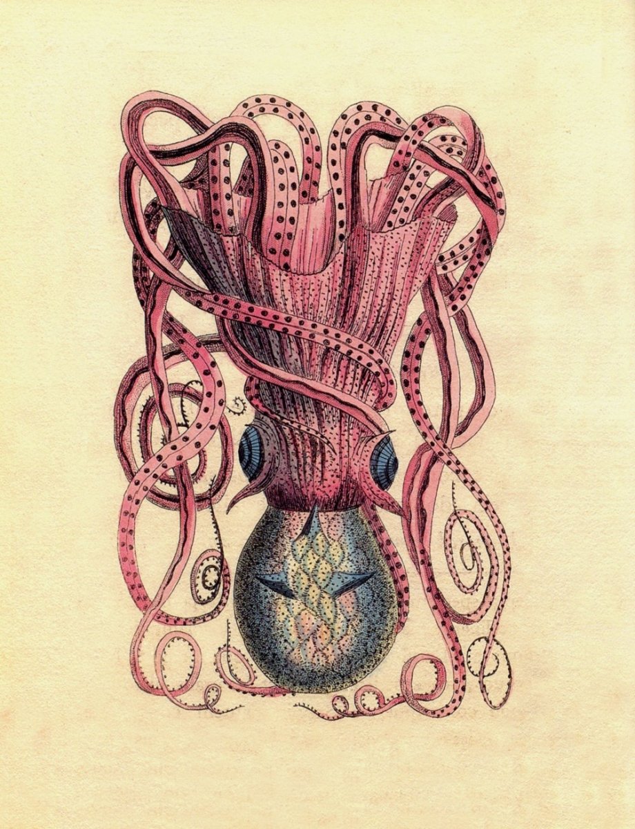Richard Polydore Nodder