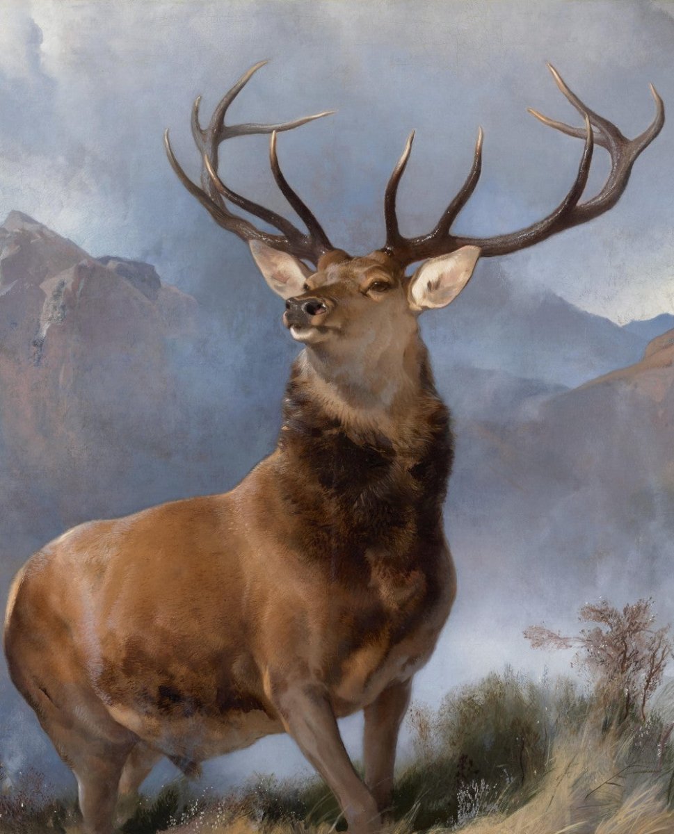 ·Pictures of Stags in the Public Domain - Public Domain Image Library