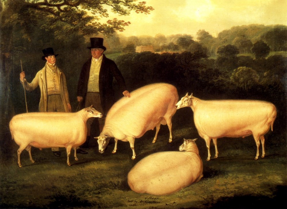 Thomas Weaver