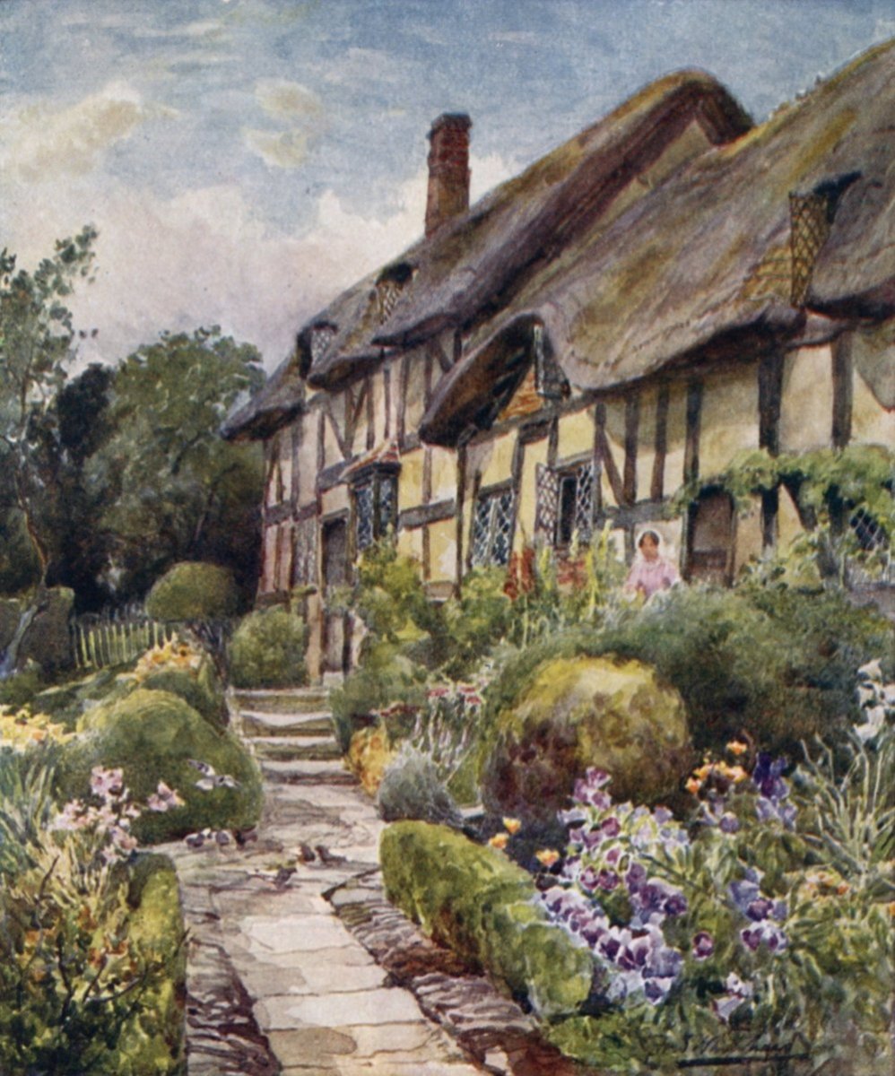 Fred Whitehead