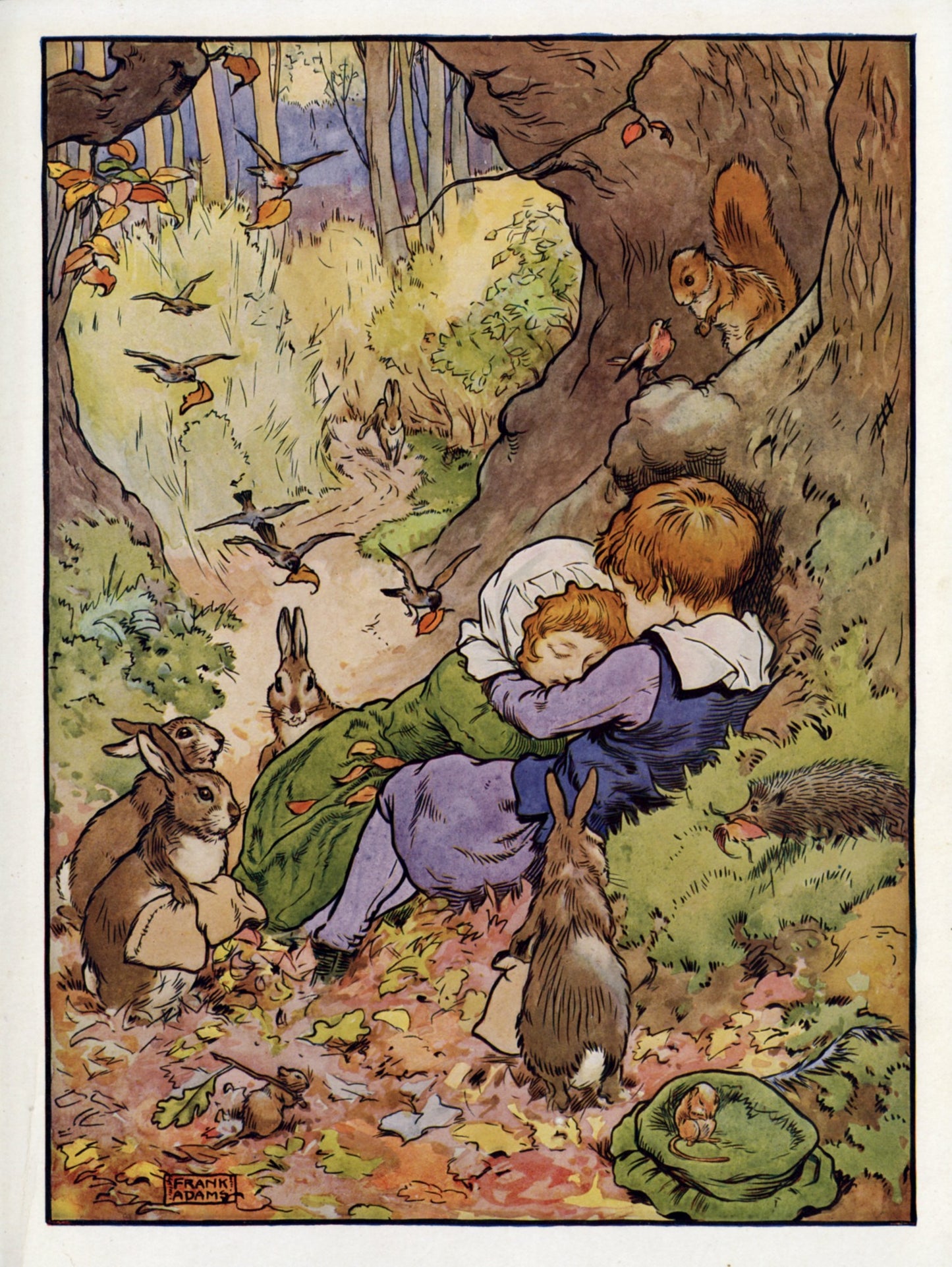 Dimensions 4433 x 5896 pixels