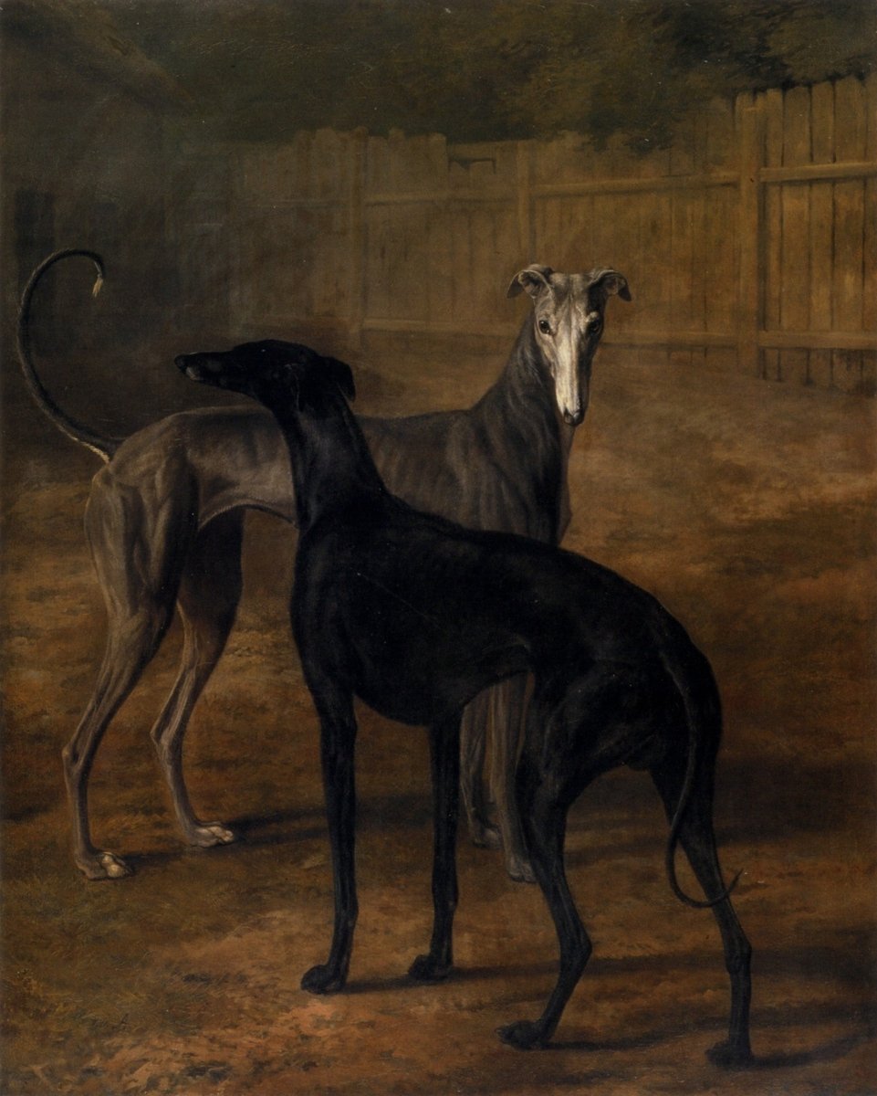 Dimensions 4494 x 5614 pixels