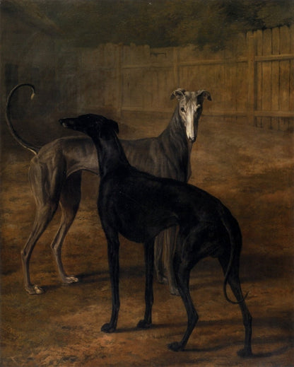 Dimensions 4494 x 5614 pixels