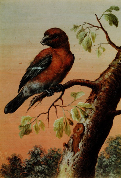 Dimensions 3736 x 5496 pixels