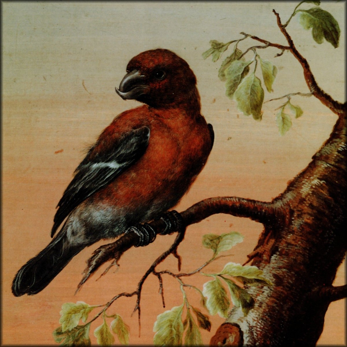 Digital Download - 1 image