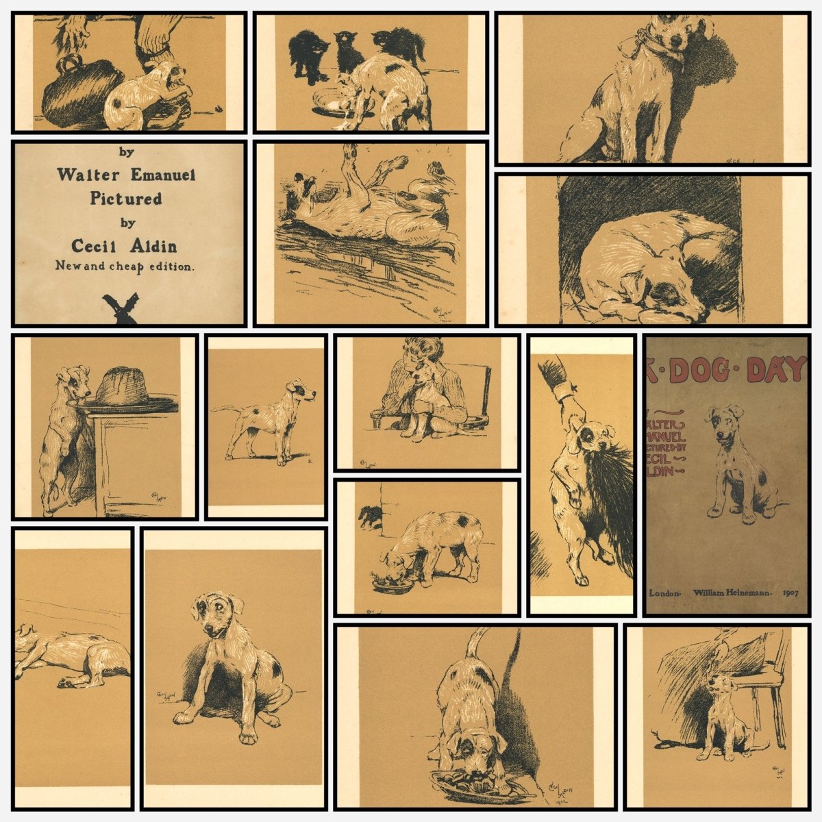 A snapshot of some of the images