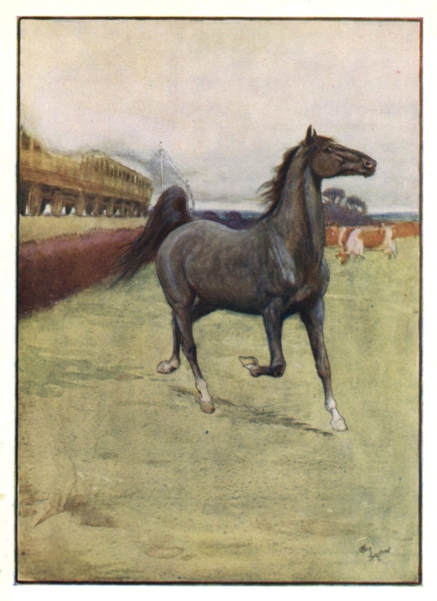 Dimensions 2835 x 3899 pixels