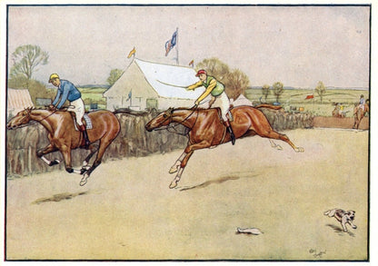 Dimensions 3828 x 2694 pixels