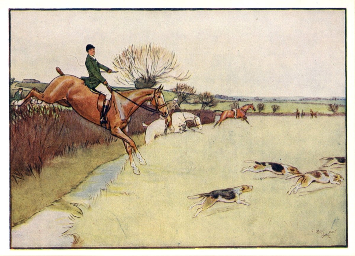 Dimensions 3846 x 2778 pixels