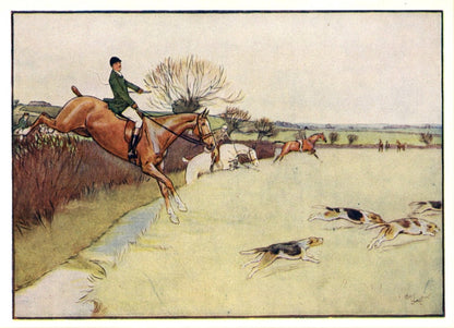 Dimensions 3846 x 2778 pixels