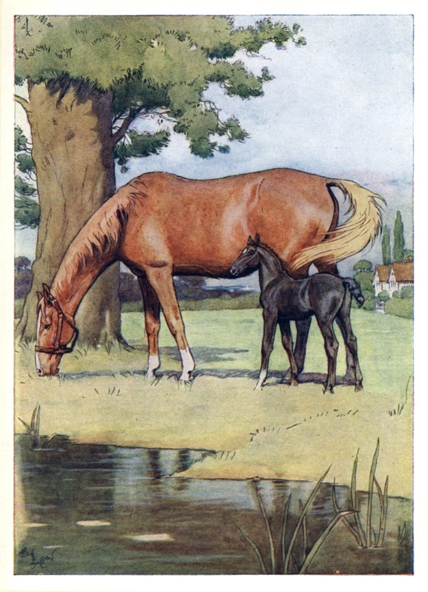 Dimensions 2802 x 3876 pixels