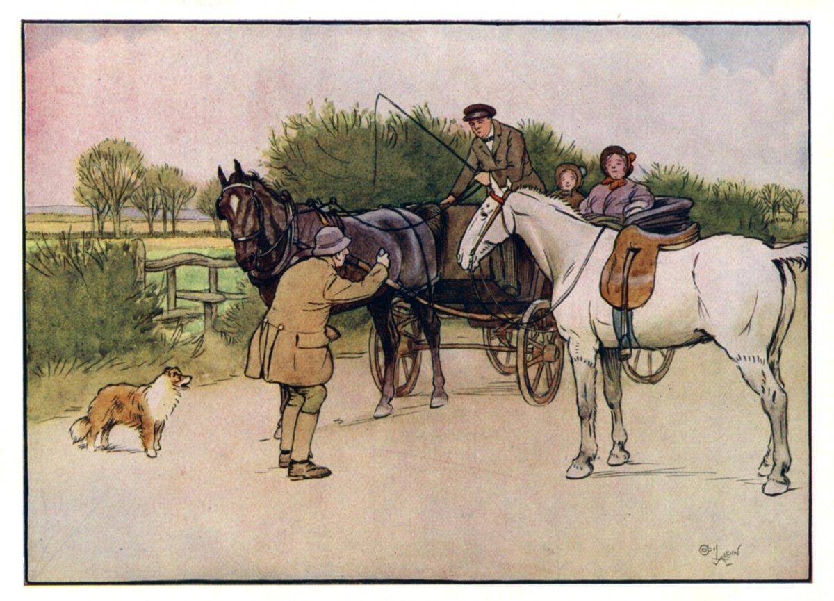 Dimensions 3864 x 2784 pixels