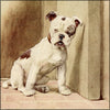 My Dog 1913 - Cecil Aldin (1870-1935) - 6 images