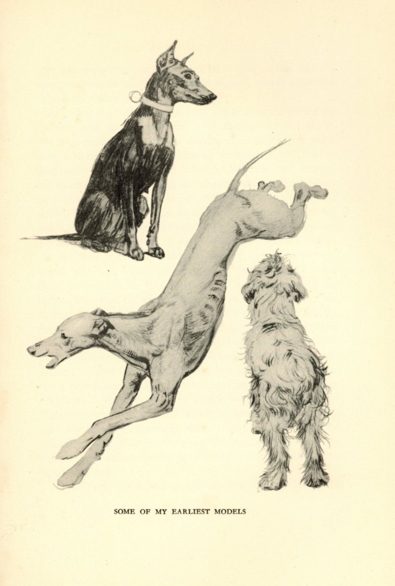 Dimensions 3424 x 5080 pixels